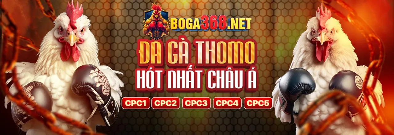 Chính sách cờ bạc có trách nhiệm của hb88 nhà cái
